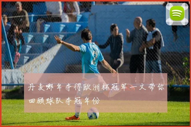 丹麦哪年夺得欧洲杯冠军一文带你回顾球队夺冠年份