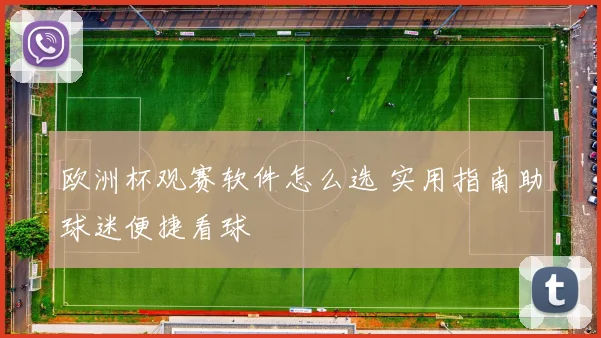欧洲杯观赛软件怎么选 实用指南助球迷便捷看球