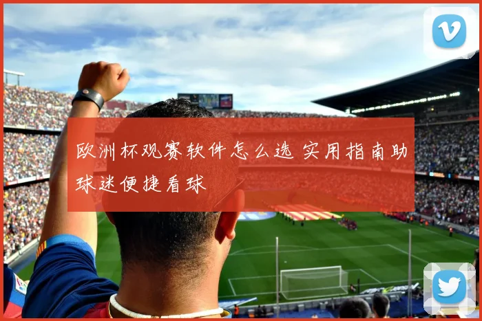 欧洲杯观赛软件怎么选 实用指南助球迷便捷看球