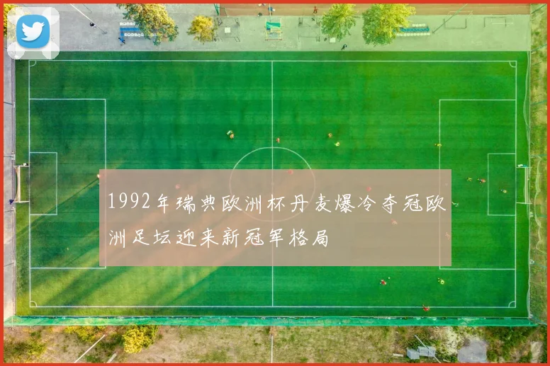 1992年瑞典欧洲杯丹麦爆冷夺冠欧洲足坛迎来新冠军格局