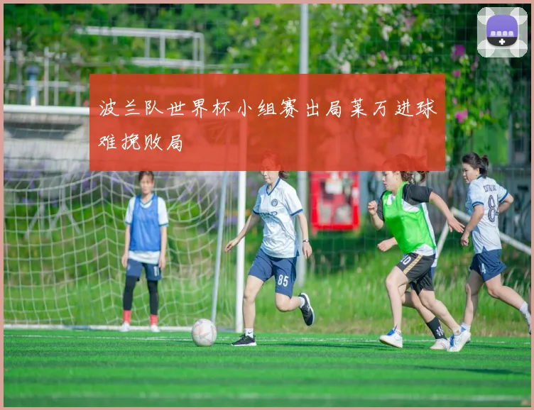 波兰队世界杯小组赛出局莱万进球难挽败局