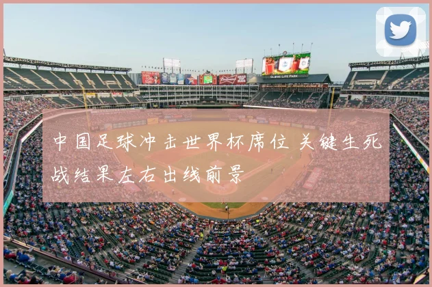 中国足球冲击世界杯席位 关键生死战结果左右出线前景