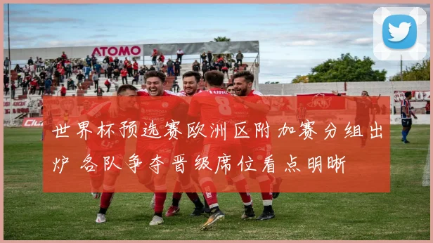 世界杯预选赛欧洲区附加赛分组出炉 各队争夺晋级席位看点明晰