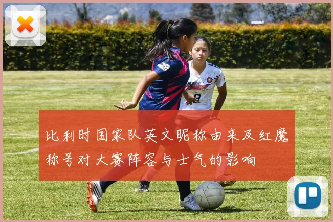 比利时国家队英文昵称由来及红魔称号对大赛阵容与士气的影响