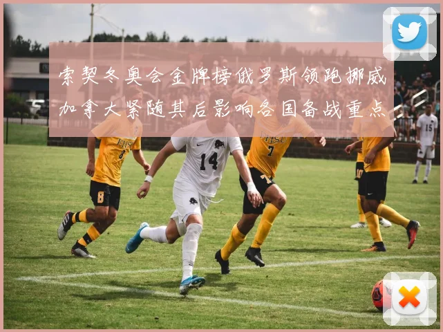 索契冬奥会金牌榜俄罗斯领跑挪威加拿大紧随其后影响各国备战重点