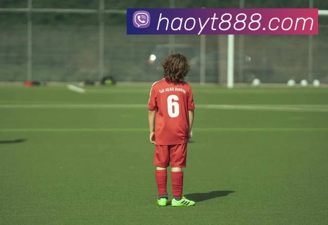 率土之滨S2国家队阵容搭配解析及实战效果评估